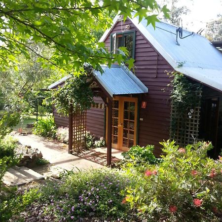 Redgum Hill Country Retreat Guest House เบลิงงัพ ภายนอก รูปภาพ