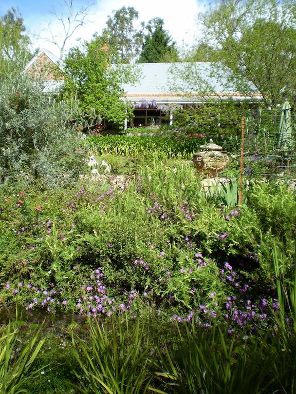 Redgum Hill Country Retreat Guest House เบลิงงัพ ห้อง รูปภาพ