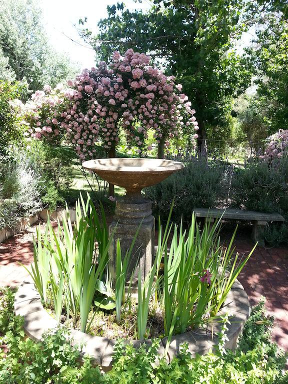 Redgum Hill Country Retreat Guest House เบลิงงัพ ภายนอก รูปภาพ