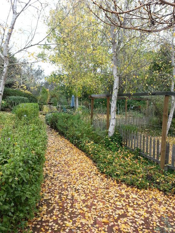 Redgum Hill Country Retreat Guest House เบลิงงัพ ภายนอก รูปภาพ