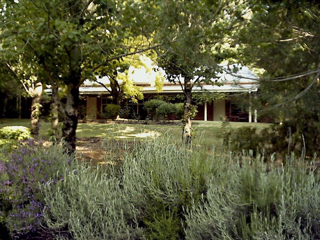 Redgum Hill Country Retreat Guest House เบลิงงัพ ห้อง รูปภาพ
