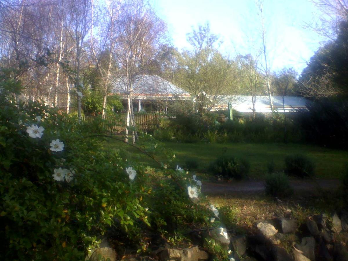 Redgum Hill Country Retreat Guest House เบลิงงัพ ภายนอก รูปภาพ