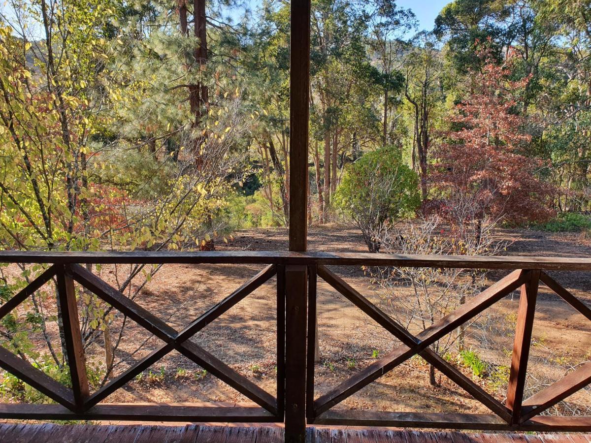 Redgum Hill Country Retreat Guest House เบลิงงัพ ภายนอก รูปภาพ