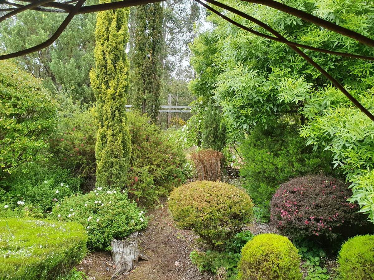 Redgum Hill Country Retreat Guest House เบลิงงัพ ภายนอก รูปภาพ