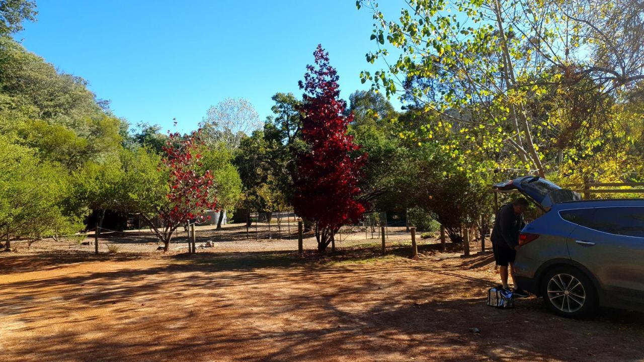Redgum Hill Country Retreat Guest House เบลิงงัพ ภายนอก รูปภาพ