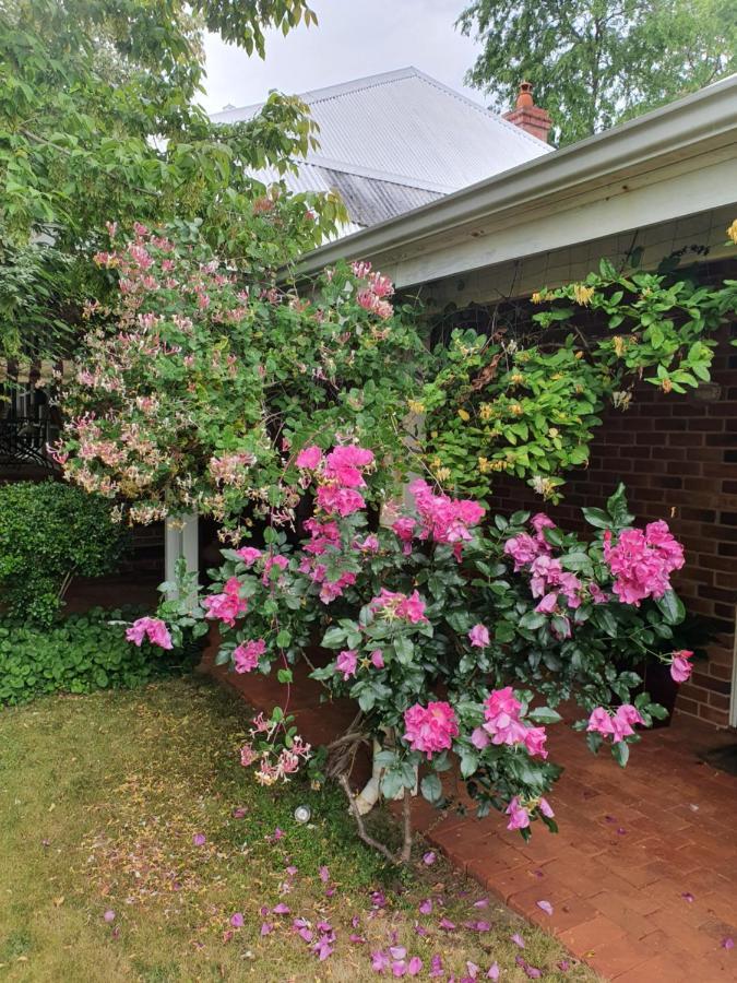 Redgum Hill Country Retreat Guest House เบลิงงัพ ภายนอก รูปภาพ