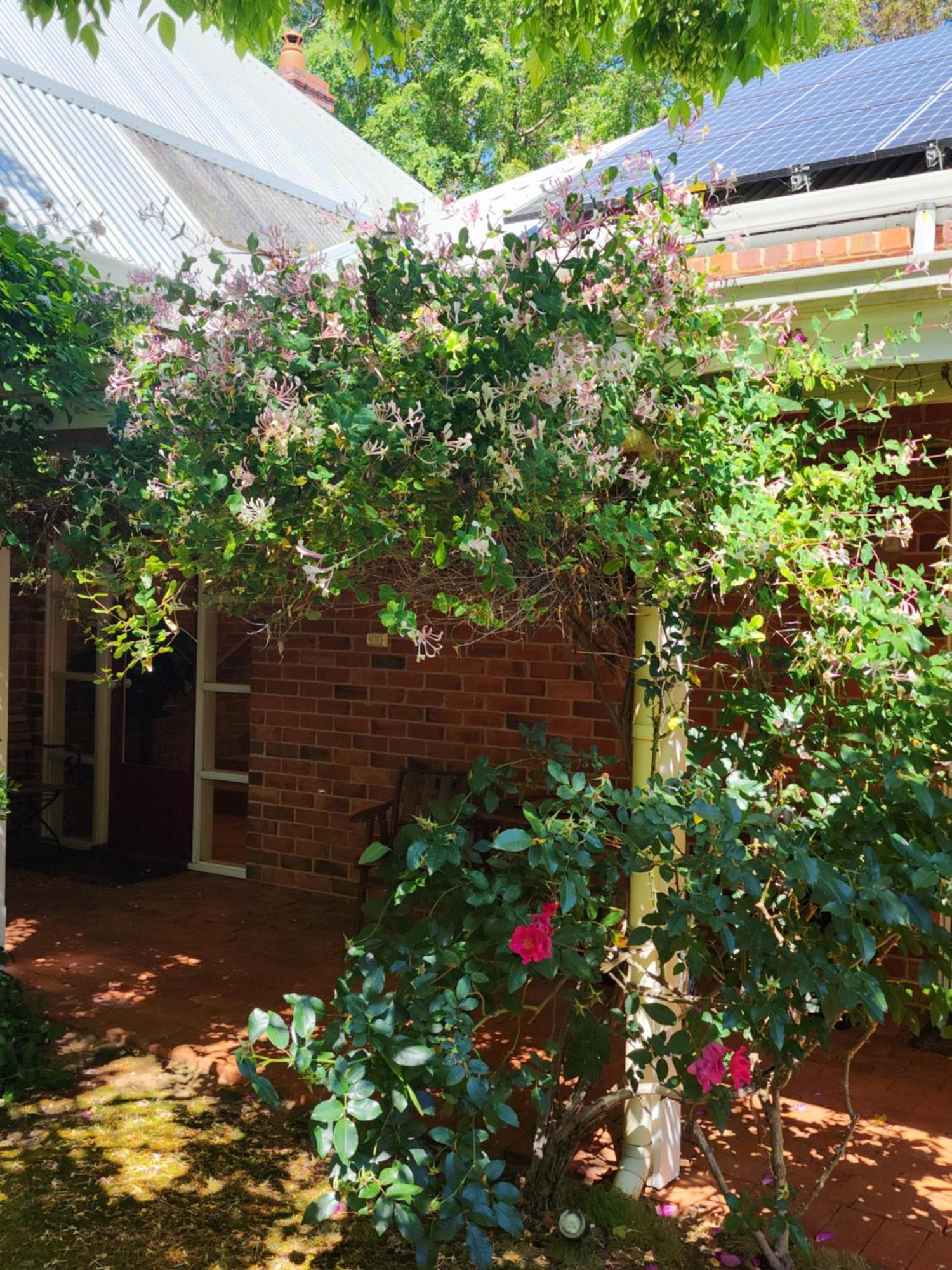 Redgum Hill Country Retreat Guest House เบลิงงัพ ภายนอก รูปภาพ