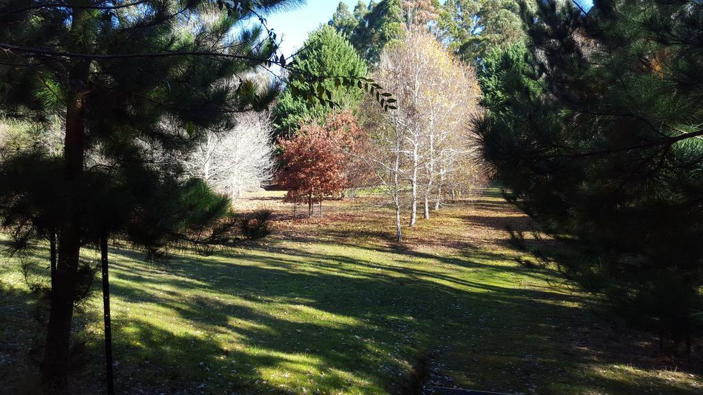 Redgum Hill Country Retreat Guest House เบลิงงัพ ภายนอก รูปภาพ