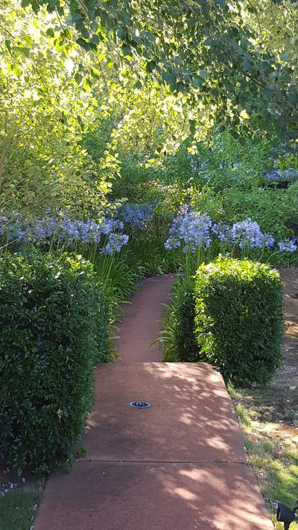 Redgum Hill Country Retreat Guest House เบลิงงัพ ภายนอก รูปภาพ